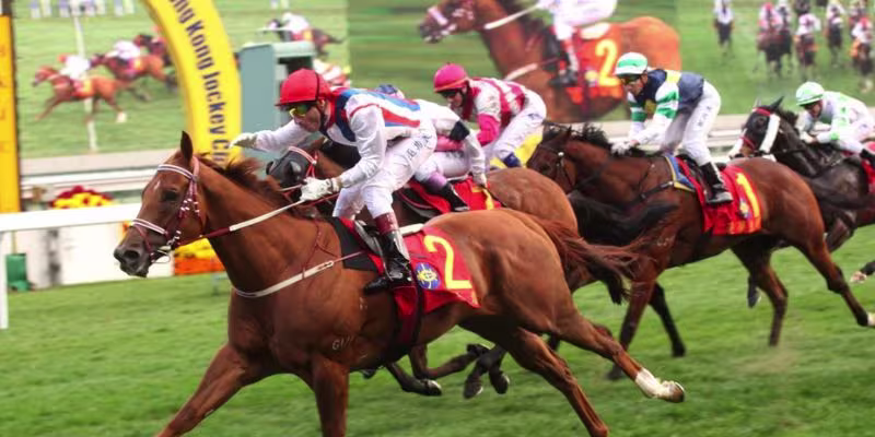 Chiến lược so sánh các nhà cái với nhau