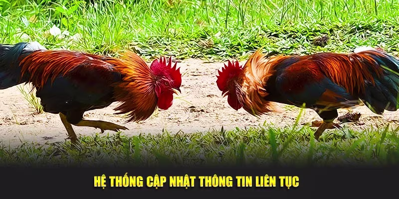Hệ thống cập nhập thông tin liên tục
