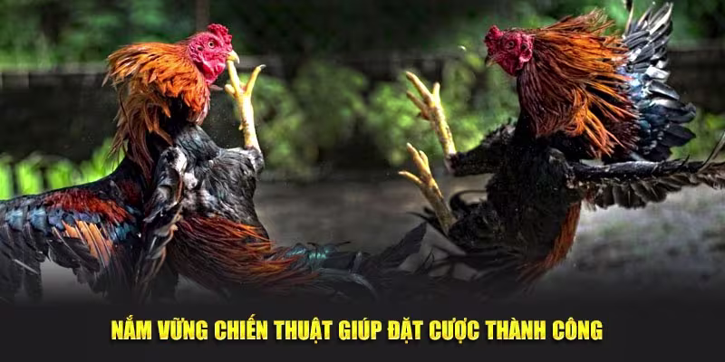 Nắm vững chiến thuật giúp đặt cược thành công