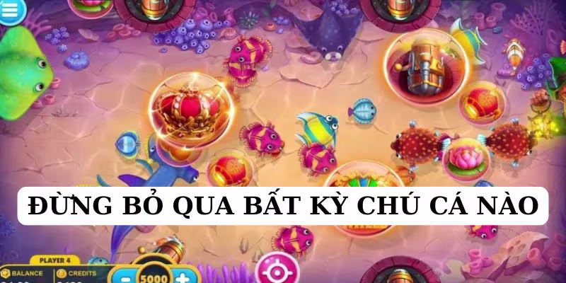 Cần đảm bảo mình không bỏ sót chú cá nào