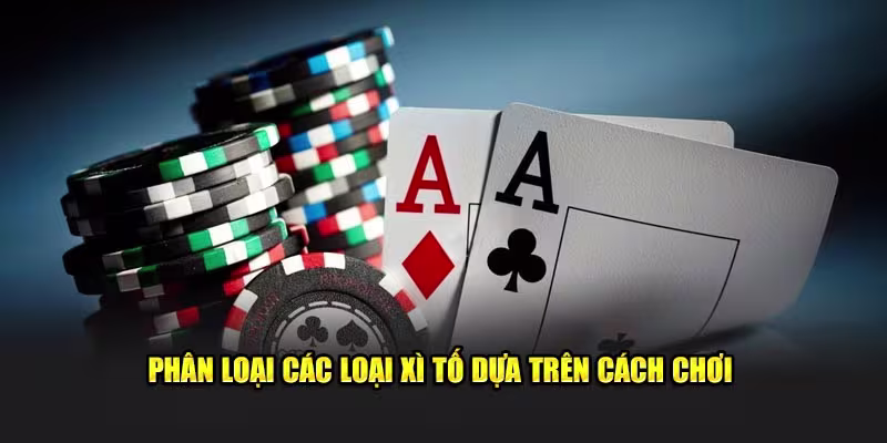 Các loại xì tố 
